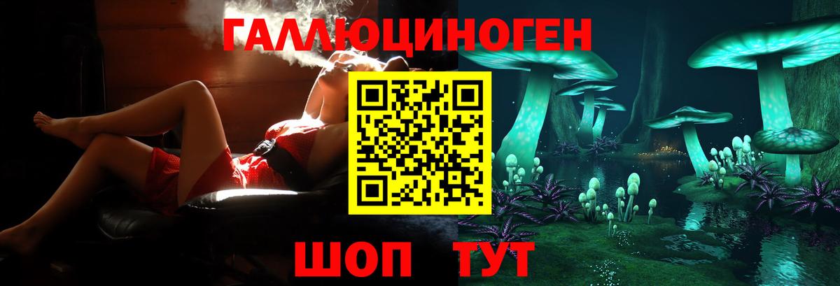 Галлюциногенные грибы MAGIC MUSHROOMS  Псилоцибиновые грибы прущие грибы  Тайшет  Вход с VPN 